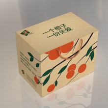 紙藝文明 從書寫載體到現代生活的多維延伸