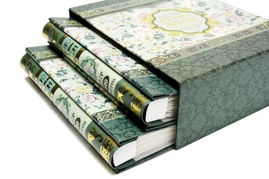 珍藏花開富貴的美好瞬間 星林相冊（深綠款）評測與體驗